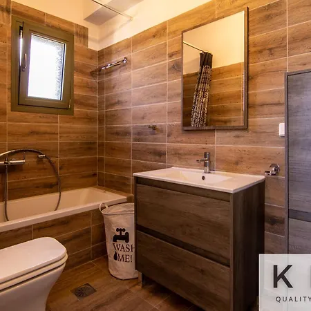 Vila Skoumas Surrounded By Olive Trees! Vlachata