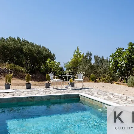 Skoumas Surrounded By Olive Trees!